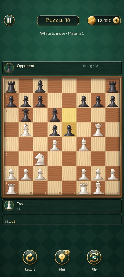 Puzzle